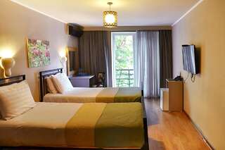 Отель Art Hotel Claude Monet Тбилиси Стандартный двухместный номер с 2 отдельными кроватями-2